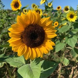 Meet your Posher, Gwen